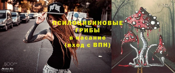 первитин Карпинск