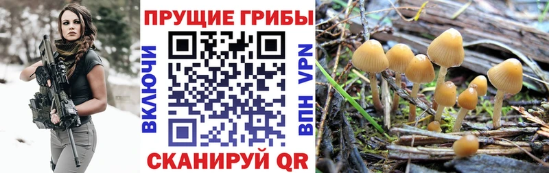 Купить закладки  Галич  Галлюциногенные грибы мухоморы 